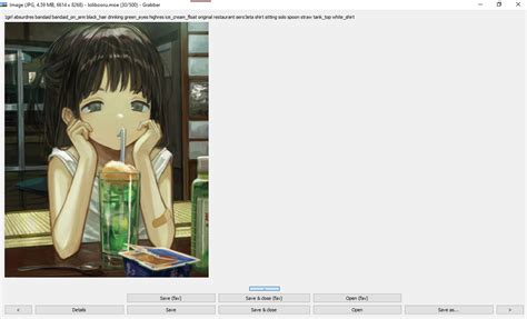 lolibooru.moe|GitHub .